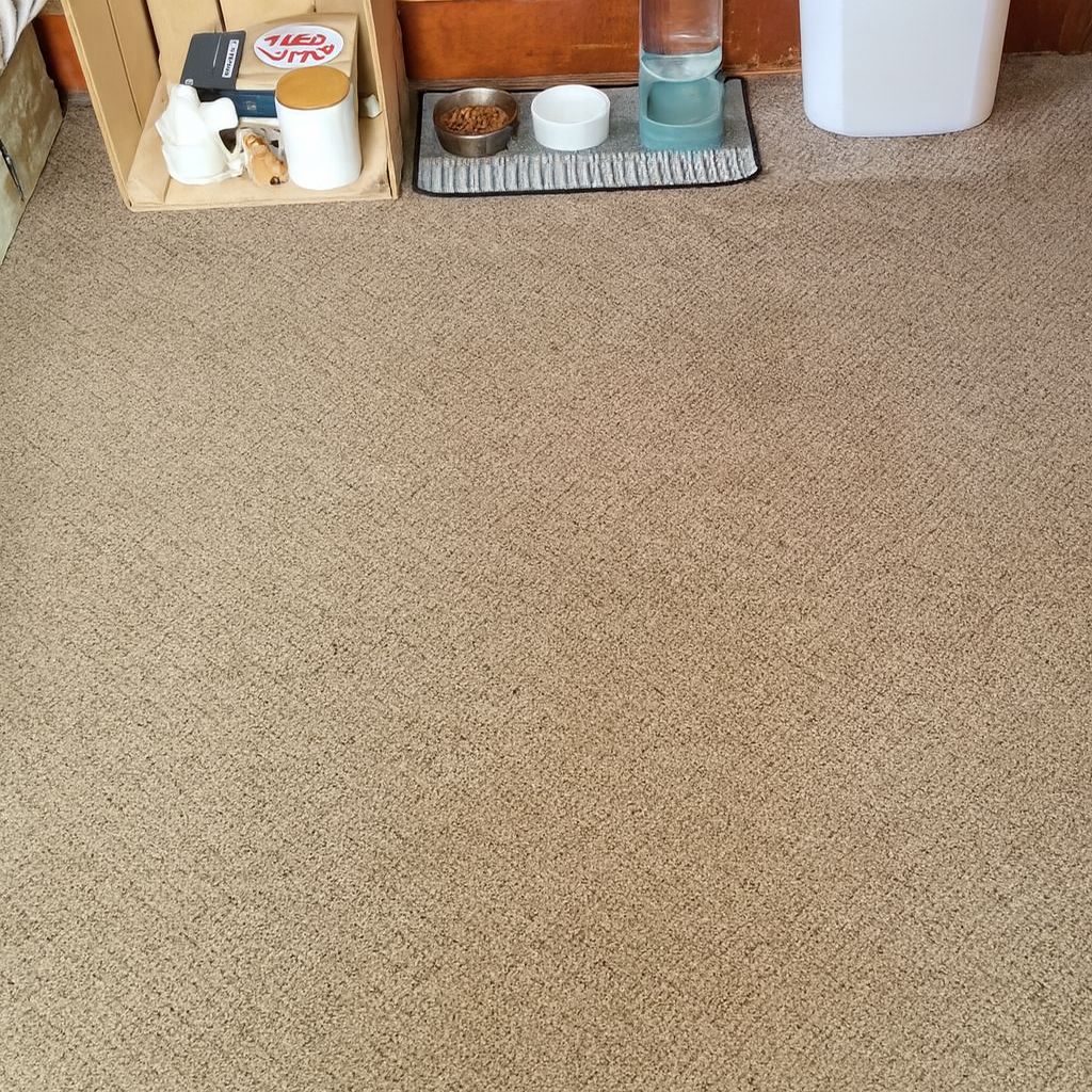 Dirty carpet before cleaning