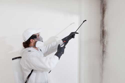 Deep cleaning and sanitising service after fire or flood damage