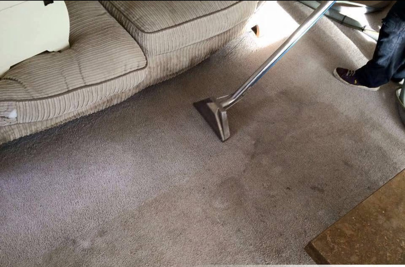 Professional Carpet Cleaning in Nottingham – Transforming Post-Build Dust & Dirt